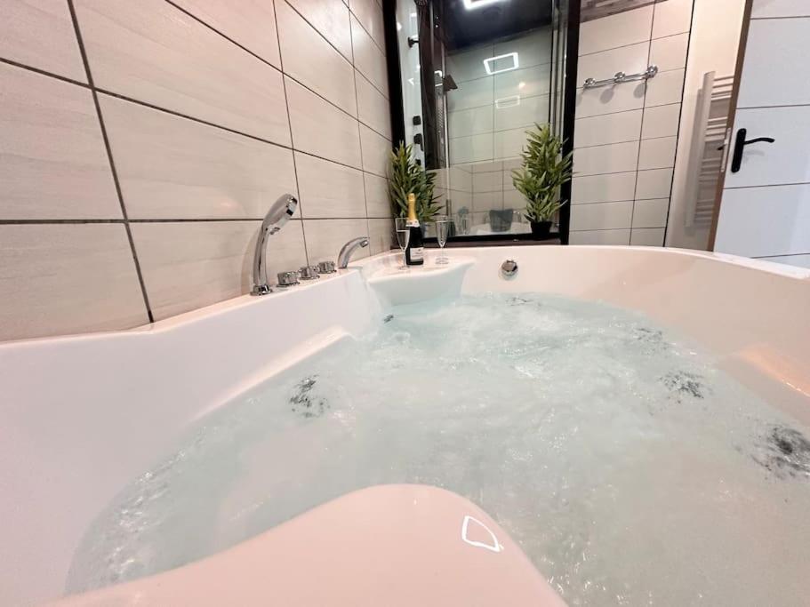 E Servagnat T3 Luxe Avec Sauna Jacuzzi Et Hammam Épernay Esterno foto
